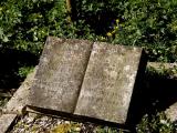 image of grave number 790616